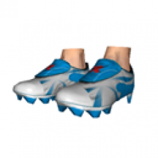 Soccer Shoes